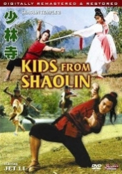 : Shaolin Temple 2 DC 1984 German 800p AC3 microHD x264 - RAIST