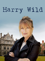 : Harry Wild Moerderjagd in Dublin S02E01 German 1080p WebHd h264-Fkktv