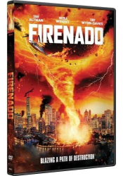 : Firenado 2023 German 720p BluRay x265 - DSFM