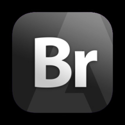 : Adobe Bridge 2024 v14.0.4 macOS