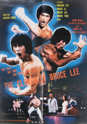 : Bruce Lee Seine Erben Nehmen Rache 1980 Remastered German Dvdrip X264-Watchable