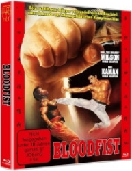 : Bloodfist Fighter DC 1989 German 1040p AC3 microHD x264 - RAIST