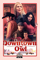 : Downtown Owl 2023 German AC3 WEBRip x265 - LDO