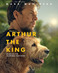 : Arthur the King 2024 German Md Webrip x264 omikron