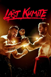 : The Last Kumite 2024 German AC3 WEBRip x265 - LDO