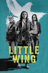 : Little Wing 2024 German DL EAC3 1080p AMZN WEB H265 - ZeroTwo