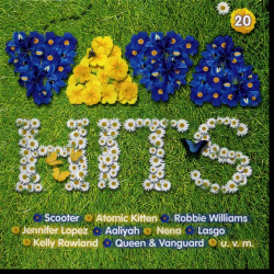 : Viva Hits Vol. 20 (2003) 