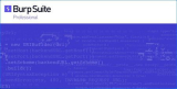 : Burp Suite Professional 2024.4.4
