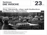 :  Spektrum der Wissenschaft Die Woche Magazin Juni No 23 2024