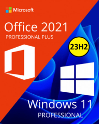 : Windows 11 Pro 23H2 Build 22631.3593 x64