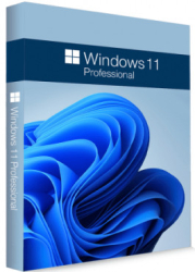 : Windows 11 Pro 23H2 Build 22631.3737