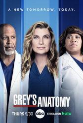 : Greys Anatomy 2005 S20E01 German Eac3 480p Dsnp Web H264-ZeroTwo