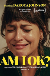 : Am I Ok 2024 German Md Dl Webrip x264-omikron