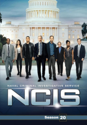 : Ncis S20 Complete German Dubbed Dl 720p Web H264-Tscc