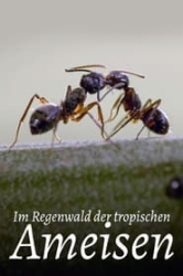 : Im Regenwald der tropischen Ameisen German Doku 720P WebHd H264-Goodboy