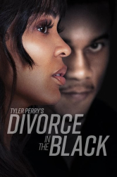 : Tyler Perrys Divorce in the Black 2024 German DL EAC3 1080p AMZN WEB H265 - ZeroTwo