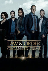 : Law And Order Organized Crime S04E02 German Dl 720P Web x264-Wayne