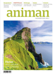 : Animan - August/September 2024