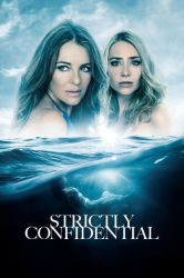 : Strictly Confidential 2024 German BDRip x264 - LizardSquad