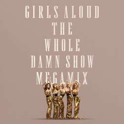 : Girls Aloud - The Whole Damn Show Megamix (2024)