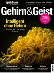 :  Spektrum Gehirn & Geist Magazin September No 09 2024