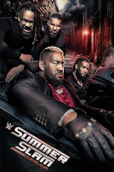 : WWE Summerslam 2024 German AAC WEBRIP x265 - LDO