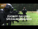 : Zugriff Spezialeinheit Der Zoll auf Verbrecherjagd 2018 German Doku 720p Web x264-ClassiCalhd