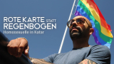 : Rote Karte statt Regenbogen Homosexuelle in Katar 2022 German Doku 720p Web x264-ClassiCalhd