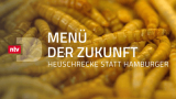 : Menue der Zukunft Heuschrecke statt Hamburger 2018 German Doku 720p Web x264-ClassiCalhd