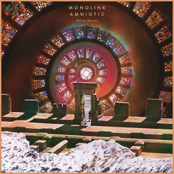 : Monolink - Amniotic (Deluxe Version)  (2019)