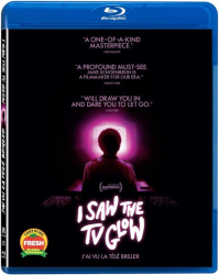 : I Saw the TV Glow 2024 German AC3 WEBRip x265-LDO