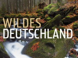 : Expeditionen ins Tierreich Naturwunder Pantanal Brasiliens geheimnisvolle Wildnis 2021 German Doku 720p Hdtv x264-Tmsf