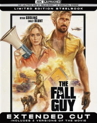 : The Fall Guy 2024 Theatrical Cut German Dd51 Dl BdriP x264-Jj