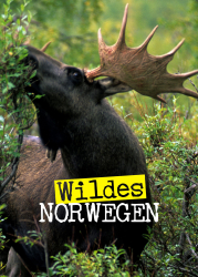 : Wildes Norwegen 2017 German Dl Doku 720p Web x264-ClassiCalhd