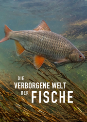 : Die verborgene Welt der Fische 2023 German Dl Doku 720p Web x264-ClassiCalhd