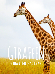 : Giraffen Giganten hautnah 2012 German Dl Doku 720p Web x264-ClassiCalhd