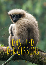 : Das Lied der Gibbons 2021 German Dl Doku 1080p Web x264-ClassiCalhd