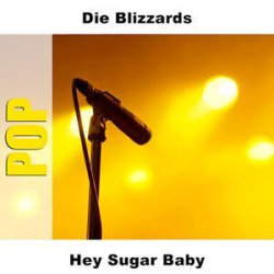 : Die Blizzards - Hey Sugar Baby (Pop) (2006)