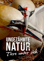 : Ungezaehmte Natur Tiere unter sich 2020 German Dl Doku 1080p Web x264-ClassiCalhd