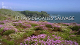 : Wildes Wales 2022 German Dl Doku 720p Web x264-ClassiCalhd