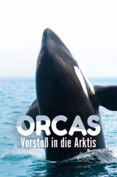 : Orcas Vorstoss in die Arktis 2014 German Dl Doku 720p Web x264-ClassiCalhd