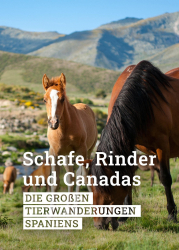 : Schafe Rinder und Canadas Die grossen Tierwanderungen Spaniens 2019 German Doku 1080p Web x264-ClassiCalhd