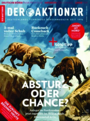 :  Der Aktionär Börsenmagazin No 33 2024