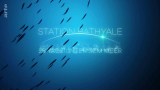 : 28 Tage unter dem Mittelmeer Station Bathyale 2020 German Doku 1080p Web x264-ClassiCalhd