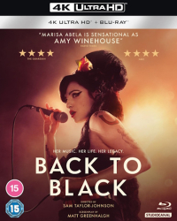 : Back to Black 2024 German Dd51 Dl BdriP x264-Jj