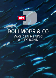 : Rollmops und Co Was der Hering alles kann 2018 German Doku 720p Web x264-ClassiCalhd