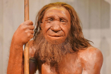 : Wer waren die Neandertaler 2020 German Dl Doku 720p Web x264-ClassiCalhd