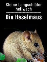 : Kleiner Langschlaefer hellwach Die Haselmaus 2013 German Doku 1080p Web x264-ClassiCalhd