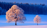 : Winterwelten Weisse Pracht voller Gegensaetze 2013 German Doku 720p Web x264-ClassiCalhd