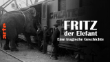 : Fritz der Elefant Eine tragische Geschichte German Doku 720P WebHd H264-Goodboy